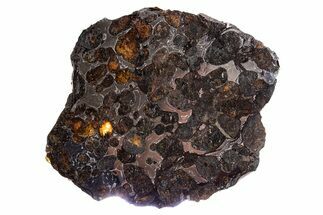 Polished Sericho Pallasite Meteorite ( g) Slice - Kenya #300773