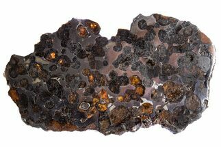 Polished Sericho Pallasite Meteorite ( g) Slice - Kenya #300775