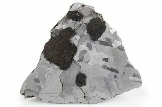 Etched Campo del Cielo Iron Meteorite ( g) Section #300779