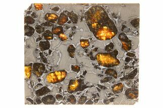 Polished Gyarub Zangbo Pallasite Meteorite ( g) Slice #301050