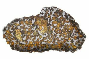 Real outlets Meteorite Seymchan, Pallasite Slice, Polished Etched Slice Gift from Space, Great Acquisition for Collectors, Olivine Iron Meteorites