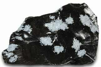 Snowflake Obsidian Section - Utah #300242