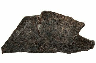 Polished Meteorite ( g) Slice - Rare Winonaite! #300999