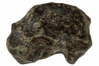 Martian Shergottite Meteorite ( g) - Amgala #301014