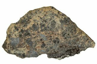 Polished Diogenite Meteorite ( g) Slice - NWA #301055