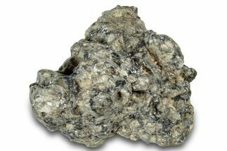 Gadamis Apollo Lunar Meteorite ( g) Section #301147