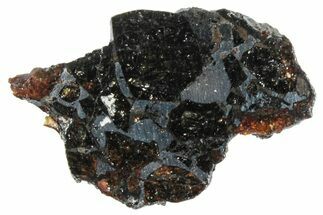 Polished Pallasite Meteorite ( g) Slice - NWA #301187