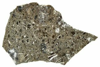 Polished Lunar Meteorite ( g) Slice - Oued el Hamim #301203