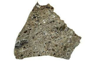 Oued el Hamim 001 Meteorites For Sale
