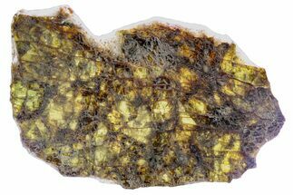 Diogenite Meteorite ( g) Slice - From Vesta Micro-Planet #301217