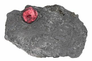 Red Embers Garnet in Graphite - Massachusetts #301095