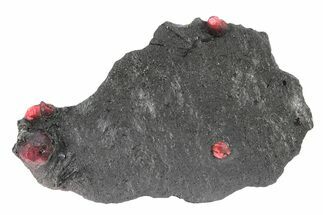 Plate of Five Red Embers Garnets in Graphite - Massachusetts #301131