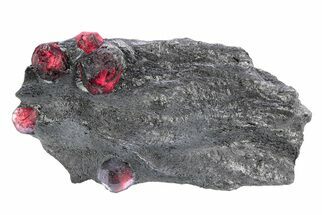 Plate of Five Red Embers Garnets in Graphite - Massachusetts #301144