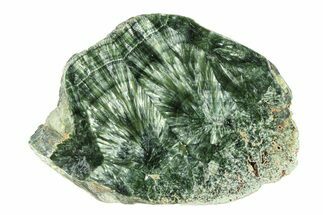 Polished Seraphinite Section - Korshunovkiy Mine, Siberia #301575