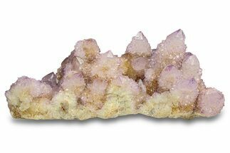 Spectacular Cactus Amethyst Crystal Cluster - South Africa #301882