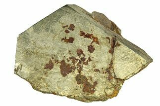 Pyrite Crystal with Quartz - Spruce Ridge, Washington #301248