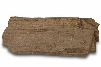 Permineralized Wood Covered In Sparkling Quartz - Germany #302048