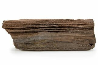Permineralized Wood Covered In Sparkling Quartz - Germany #302090