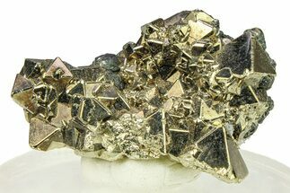 Octahedral Pyrite Crystal Cluster - Peru #301963