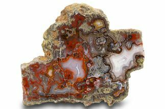 Polished Laguna Agate Slice - Mexico #302115