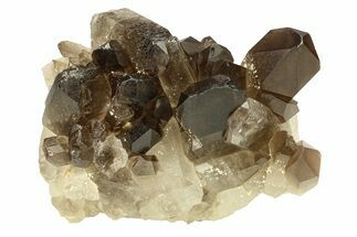 Dark Smoky Quartz Crystal Cluster - Brazil #302150