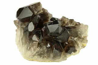 Dark Smoky Quartz Crystal Cluster - Brazil #302200