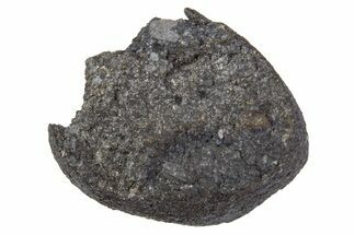 Ait Saoun EH/EH Chondrite Meteorite ( g) - Fresh Fall! #302425