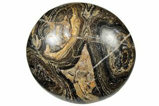 Polished Stromatolite (Greysonia) Pebble - Bolivia #302511