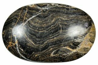 Polished Stromatolite (Greysonia) Pebble - Bolivia #302531