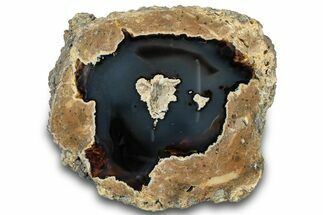 Polished Friend Ranch Thunderegg Half - Oregon #302930