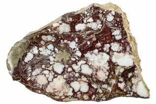 Buy Wild Horse Magnesite