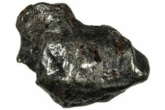 Gebel Kamil Iron Meteorite ( g) - Egypt #302712