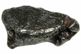 Gebel Kamil Iron Meteorite ( g) - Egypt #302722