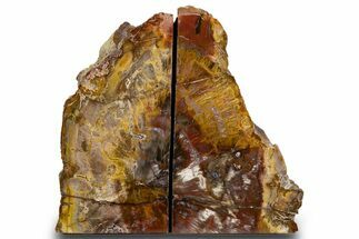 Tall Colorful Petrified Wood Bookends - Madagascar #303570