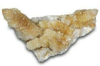 Sparkling Cactus Quartz Crystal Cluster - South Africa #303472