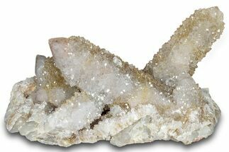 Sparkling Cactus Quartz Crystal Cluster - South Africa #303473