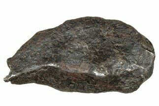 Canyon Diablo Iron Meteorite ( g) - Arizona #303478