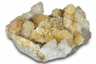 Sparkling Cactus Quartz Crystal Cluster - South Africa #303482