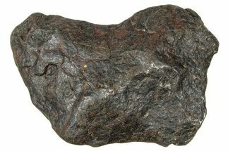 Canyon Diablo Iron Meteorite ( g) - Arizona #303513