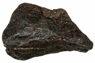 Canyon Diablo Iron Meteorite ( g) - Arizona #303554