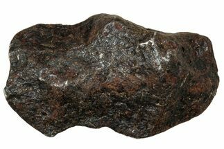 Canyon Diablo Iron Meteorite ( g) - Arizona #303556