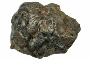 Touat 008 Meteorites For Sale