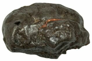 Touat 008 Meteorites For Sale