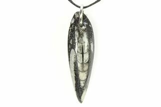 / - Polished Orthoceras Fossil Necklace - Morocco #304004