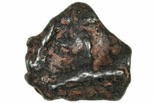 Agoudal Meteorites For Sale