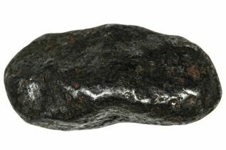 Agoudal Meteorites For Sale