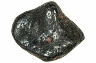 Agoudal Meteorites For Sale