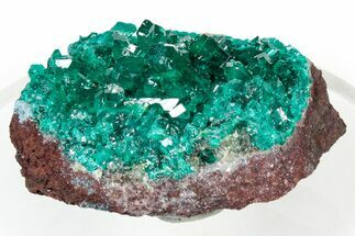 Gemmy Dioptase Crystal Cluster on Plancheite - Sanda, Congo #303844