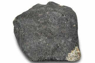 L Chondrite Meteorite ( g) - Hammadah al Hamra #304026