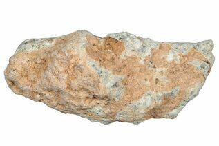 NWA 15373 Meteorites For Sale